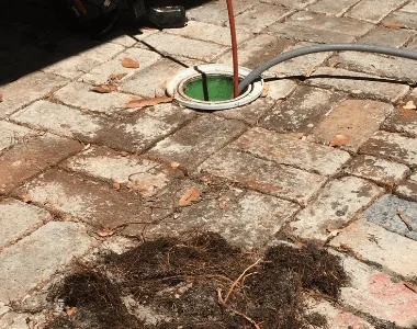 drain cleaning with roots in the foreground