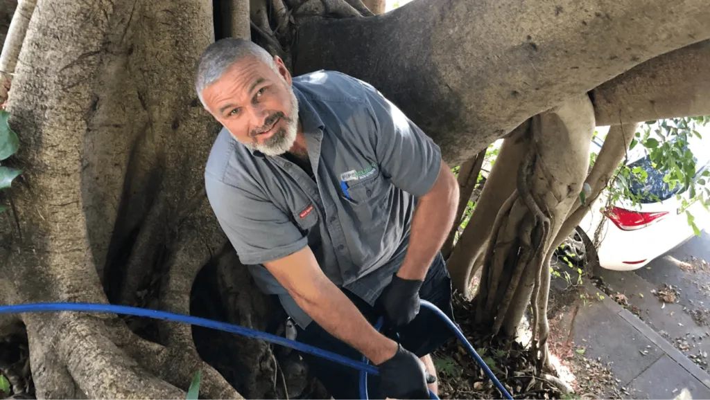 pipe relining solutions operator cleaning drain from up a tree